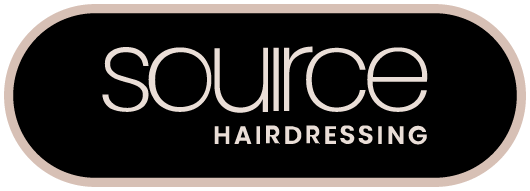 The Source Hairdressing Logo